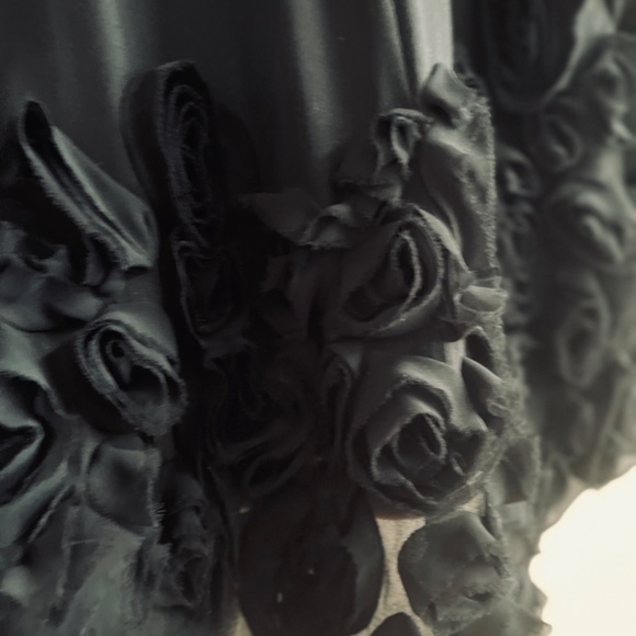 Talbots Silk Skirt W/Rosettes - Picture 6 of 7